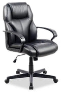 Delson 24.5 Foam-Padded Executive Office Chair