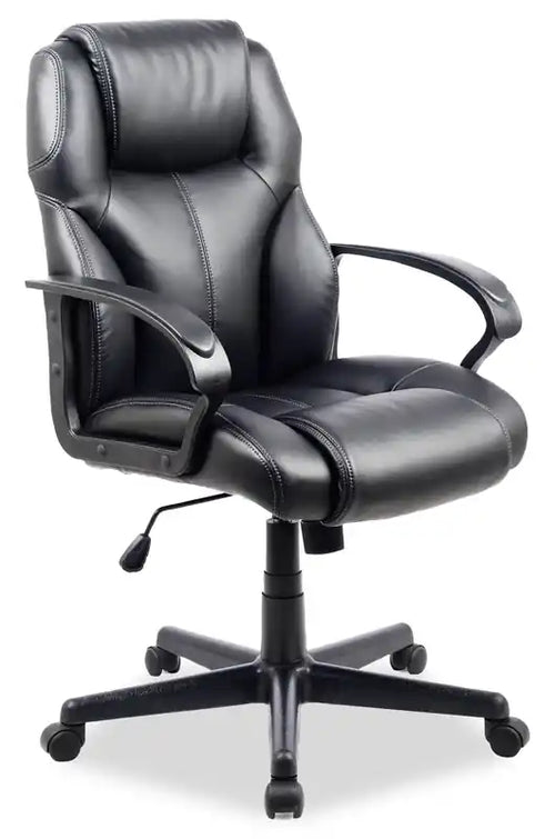 Delson 24.5 Foam-Padded Executive Office Chair